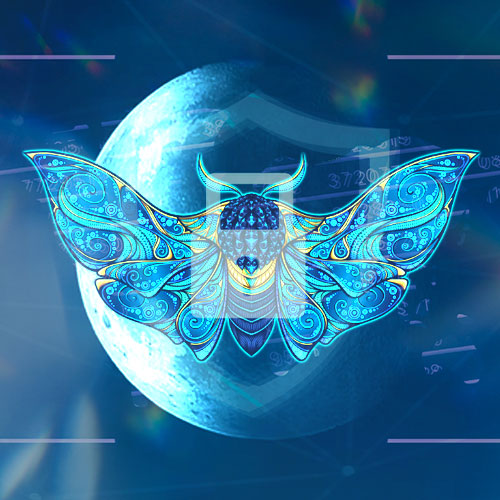 New 'Luna Moth' Hackers
