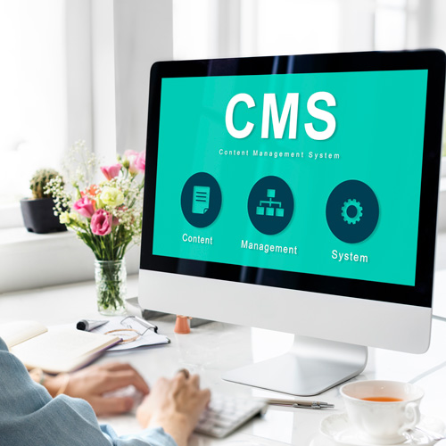 What is the Best CMS for Web Developers