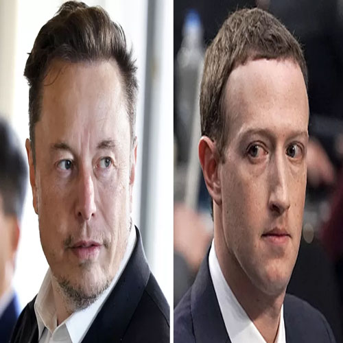 Elon Musk and Mark Zuckerberg have agreed to participate in a cage battle