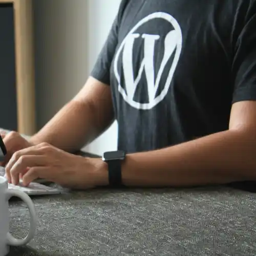 WordPress Site for SEO